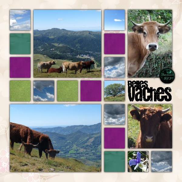 Toutes les vaches sont belles