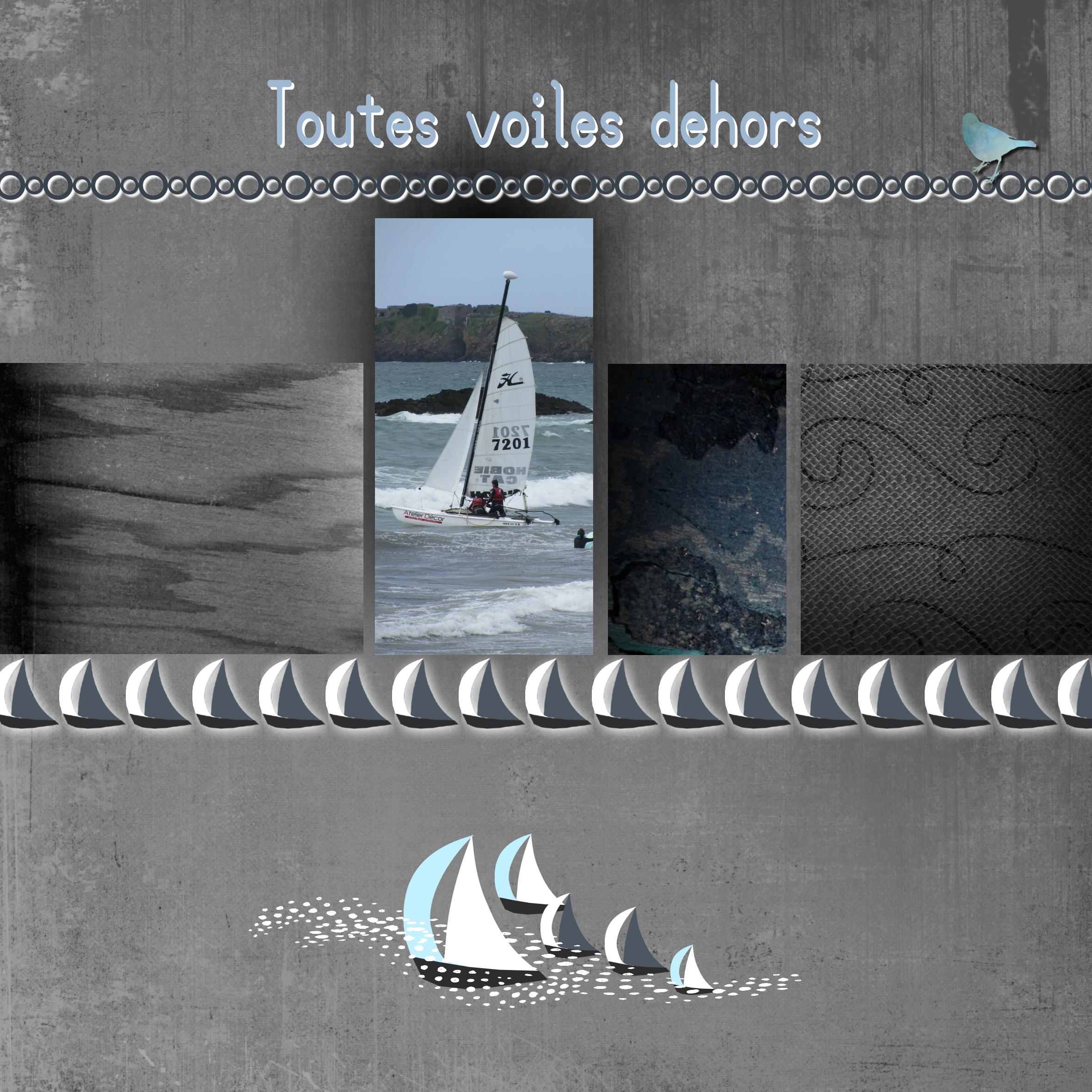Toutes voiles dehors.jpg