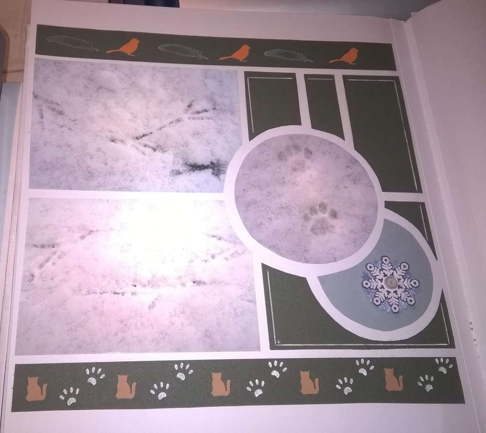 traces dans la neige