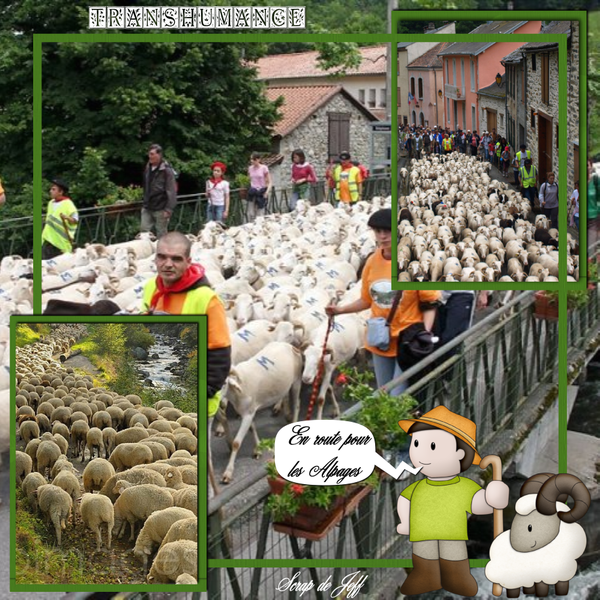 Transhumance