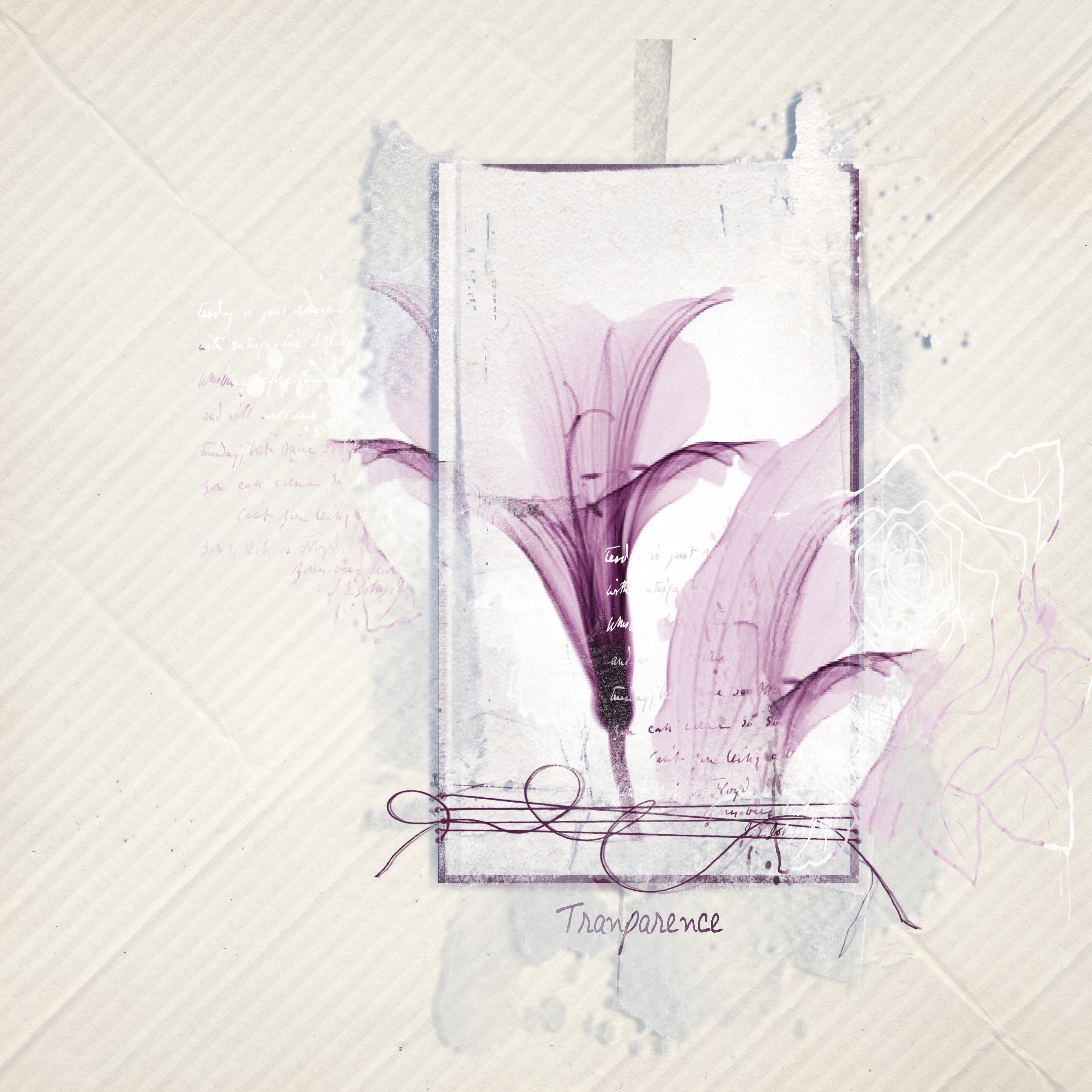 transparences.jpg