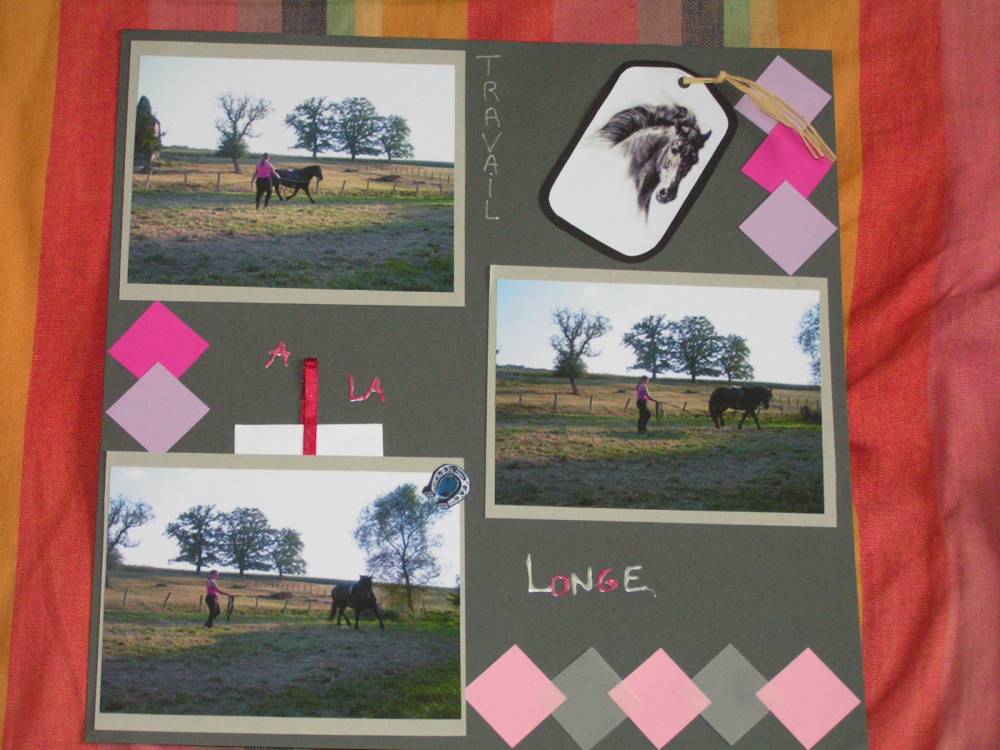 Travail à la longe