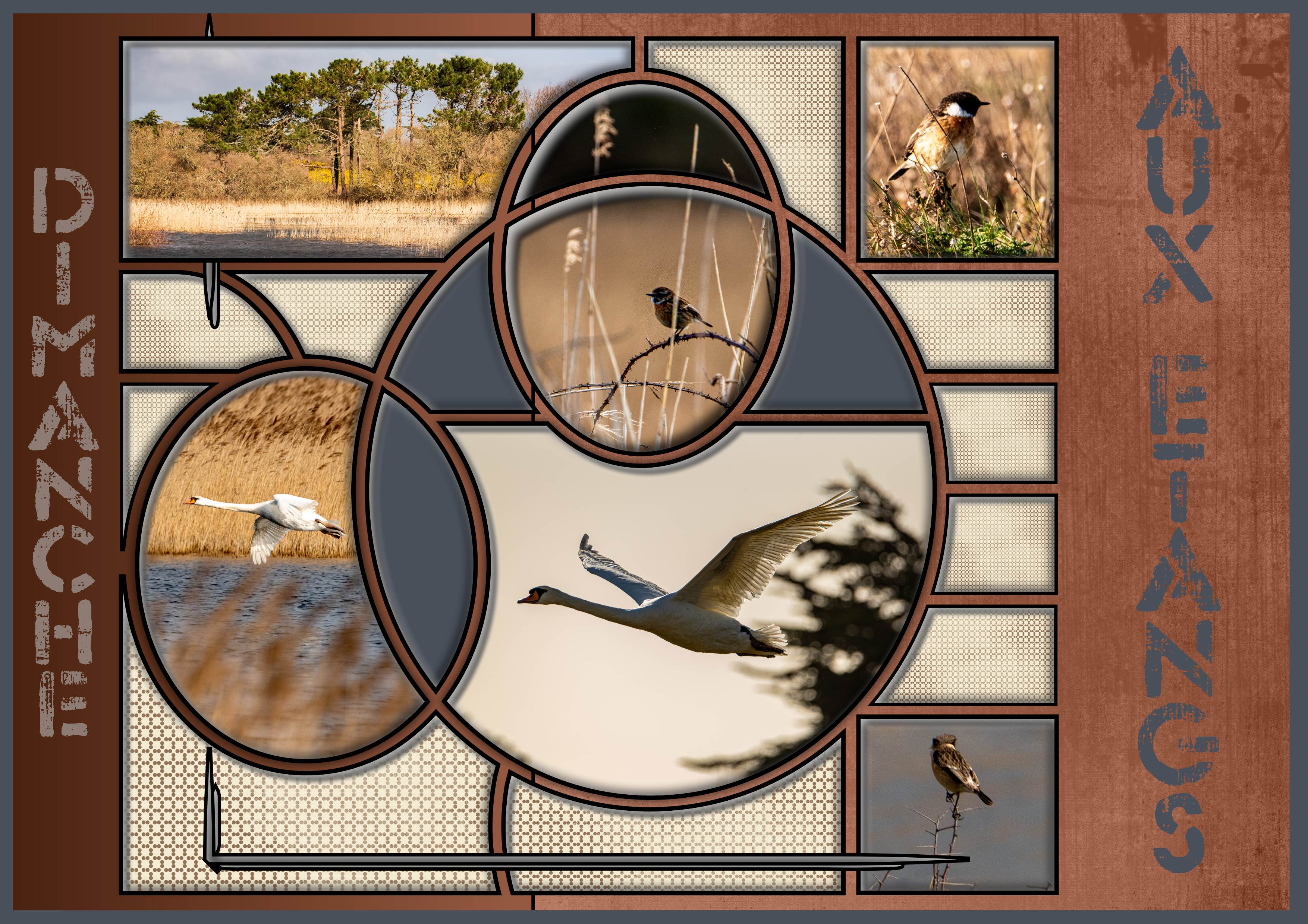 Trégunc les étangs.jpg