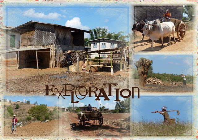 Trek Exploration