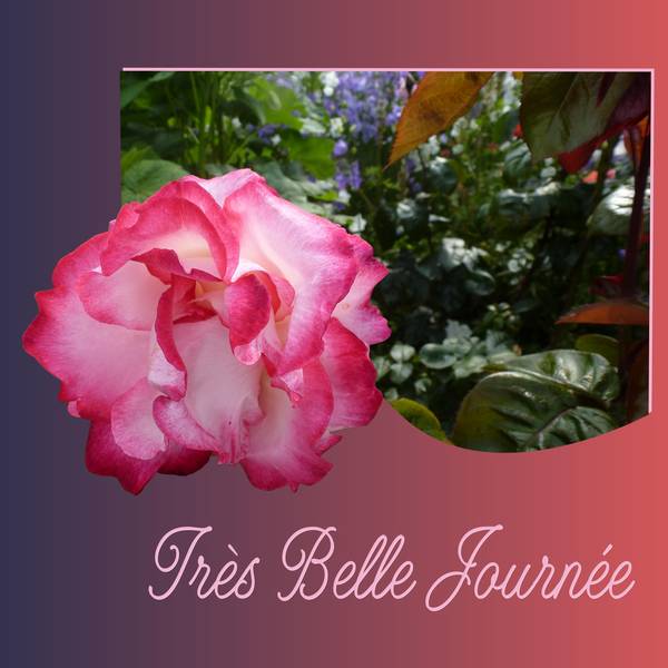 TRES BELLE JOURNEE
