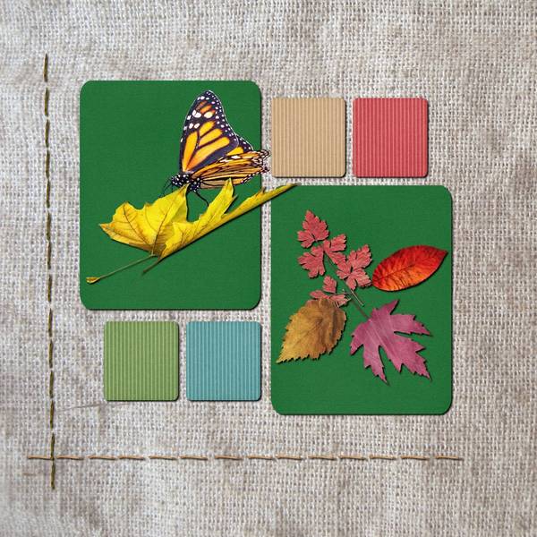 tricherie éhontée, pour le défi Insecte de Max !