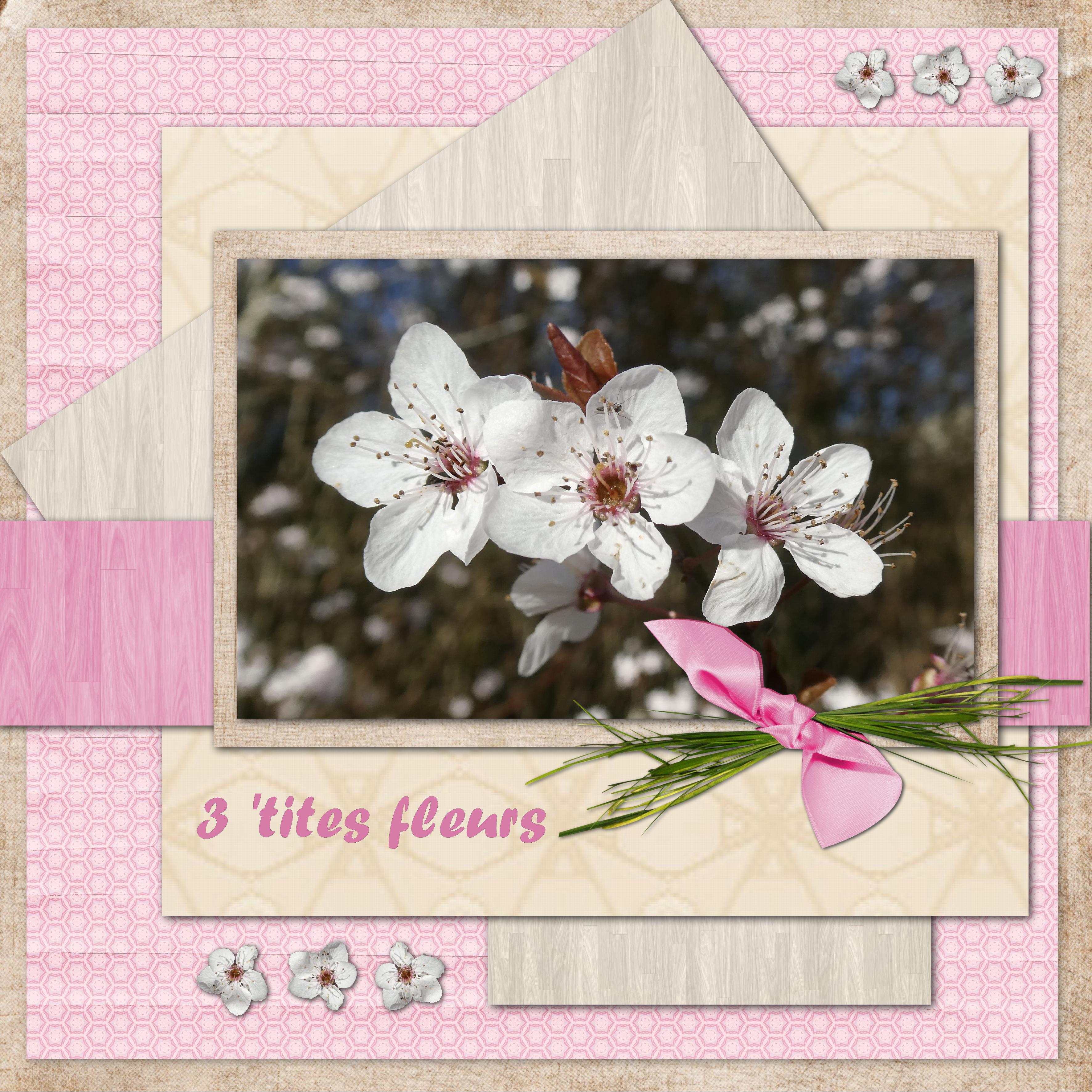 Trois petites fleurs.jpg