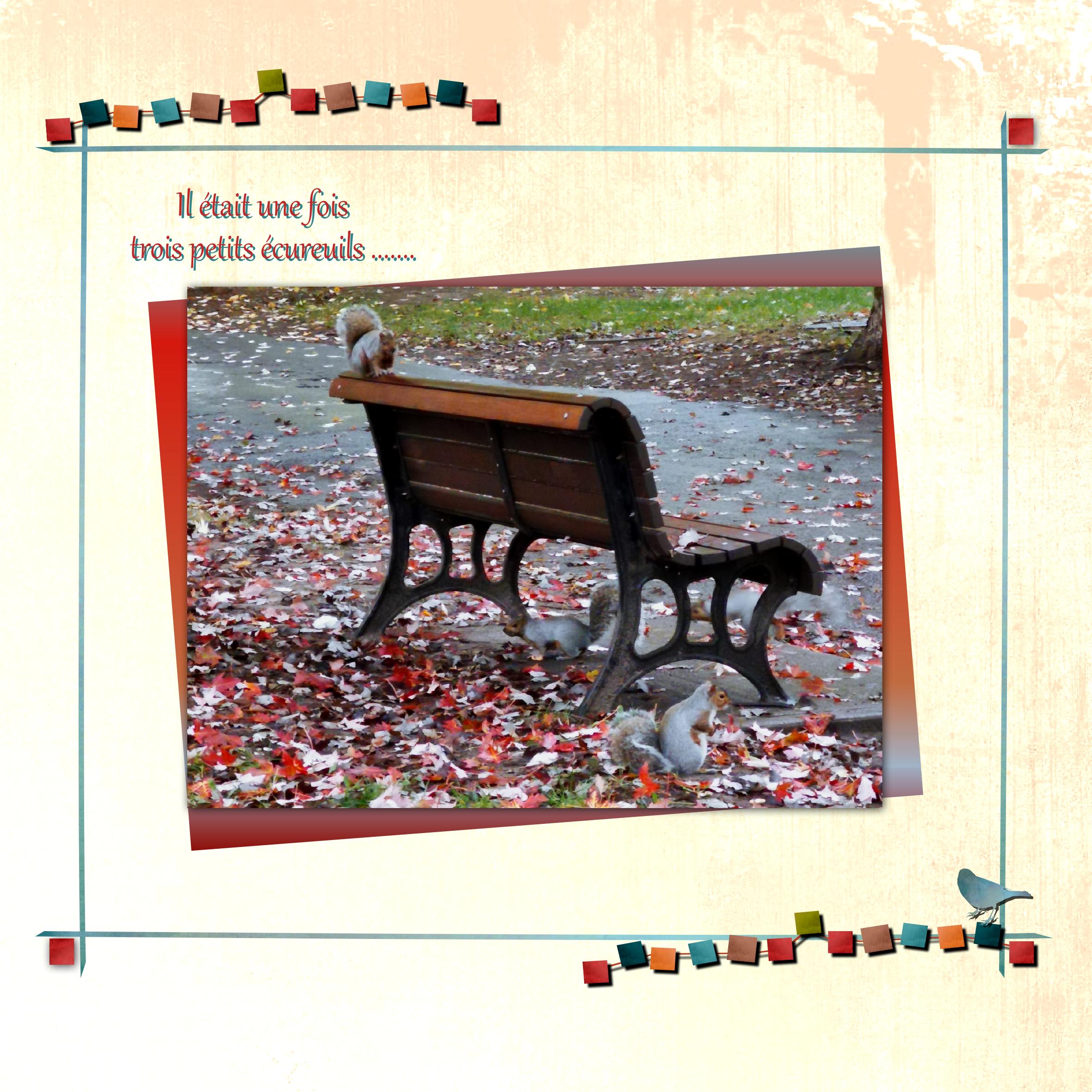 Trois petits écureuils.jpg