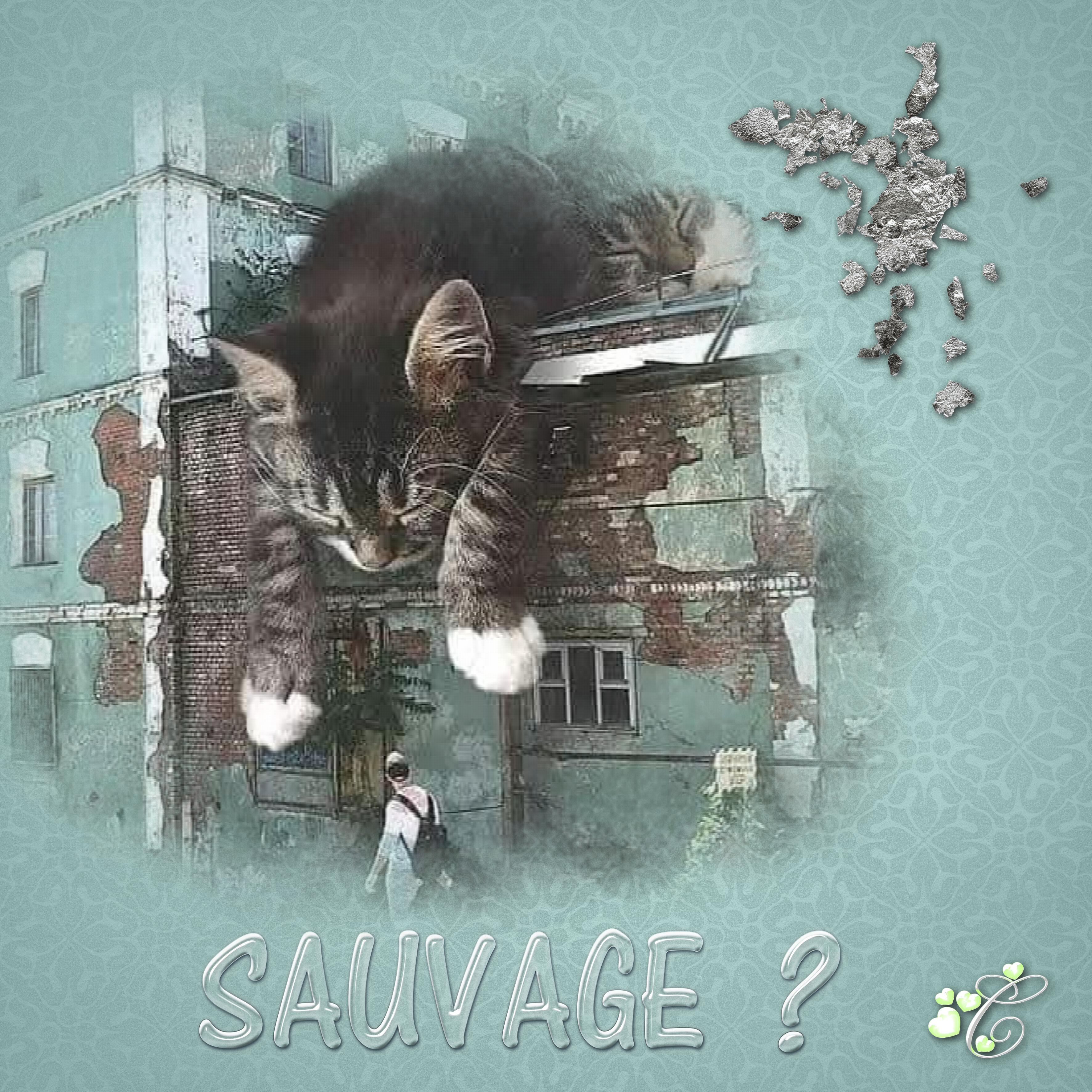 TROMPE OEIL CHAT.jpg