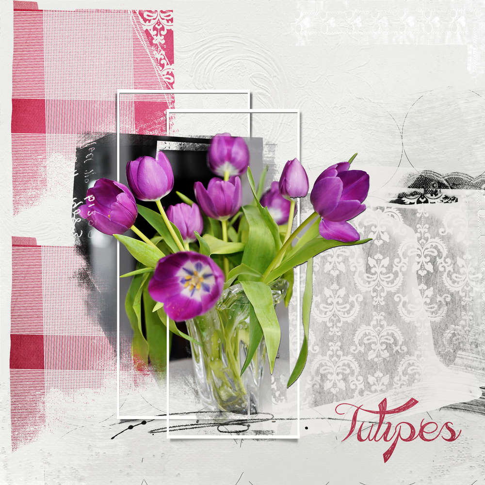 Tulipes d'hier