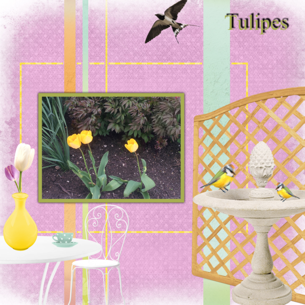 tulipes