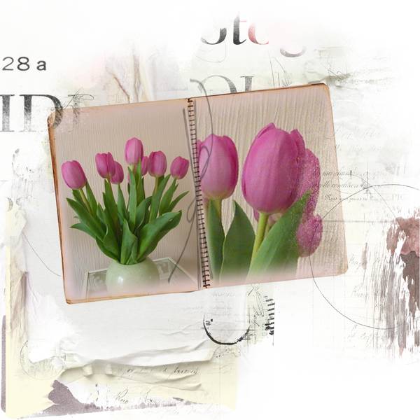 Tulipes