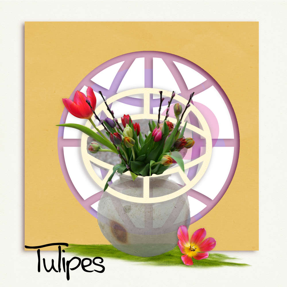 Tulipes