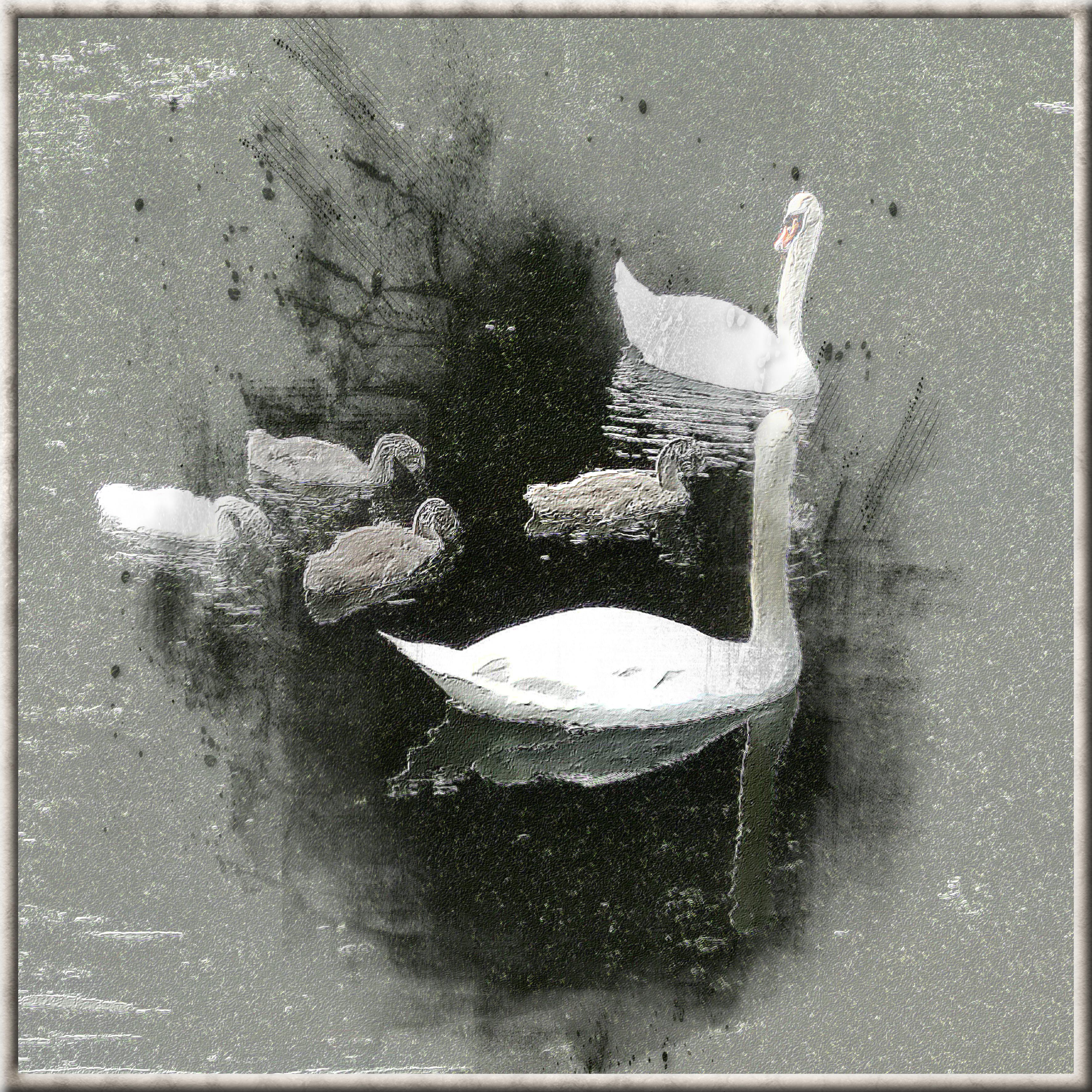 Tuto WithMo 07 02 2022 (page 1).jpg