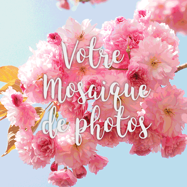 Tutoriel : créez vos photo-mosaïques !