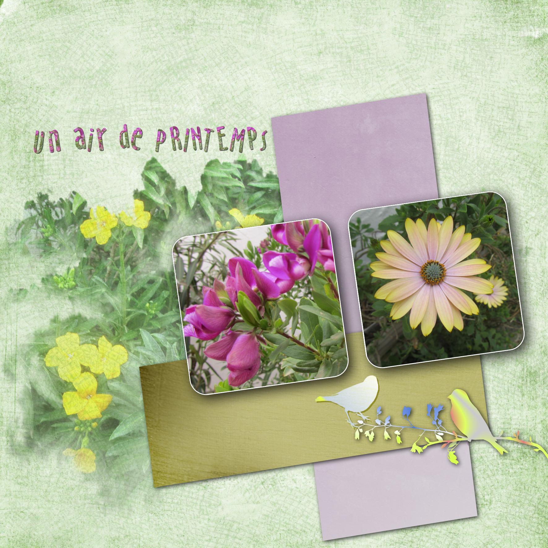 Un air de Printemps.jpg