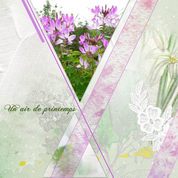 Un air de printemps...