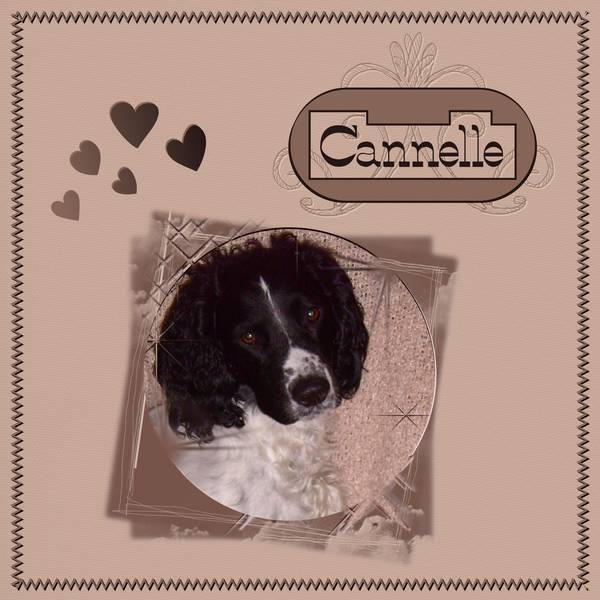 UN AMOUR de CANNELLE