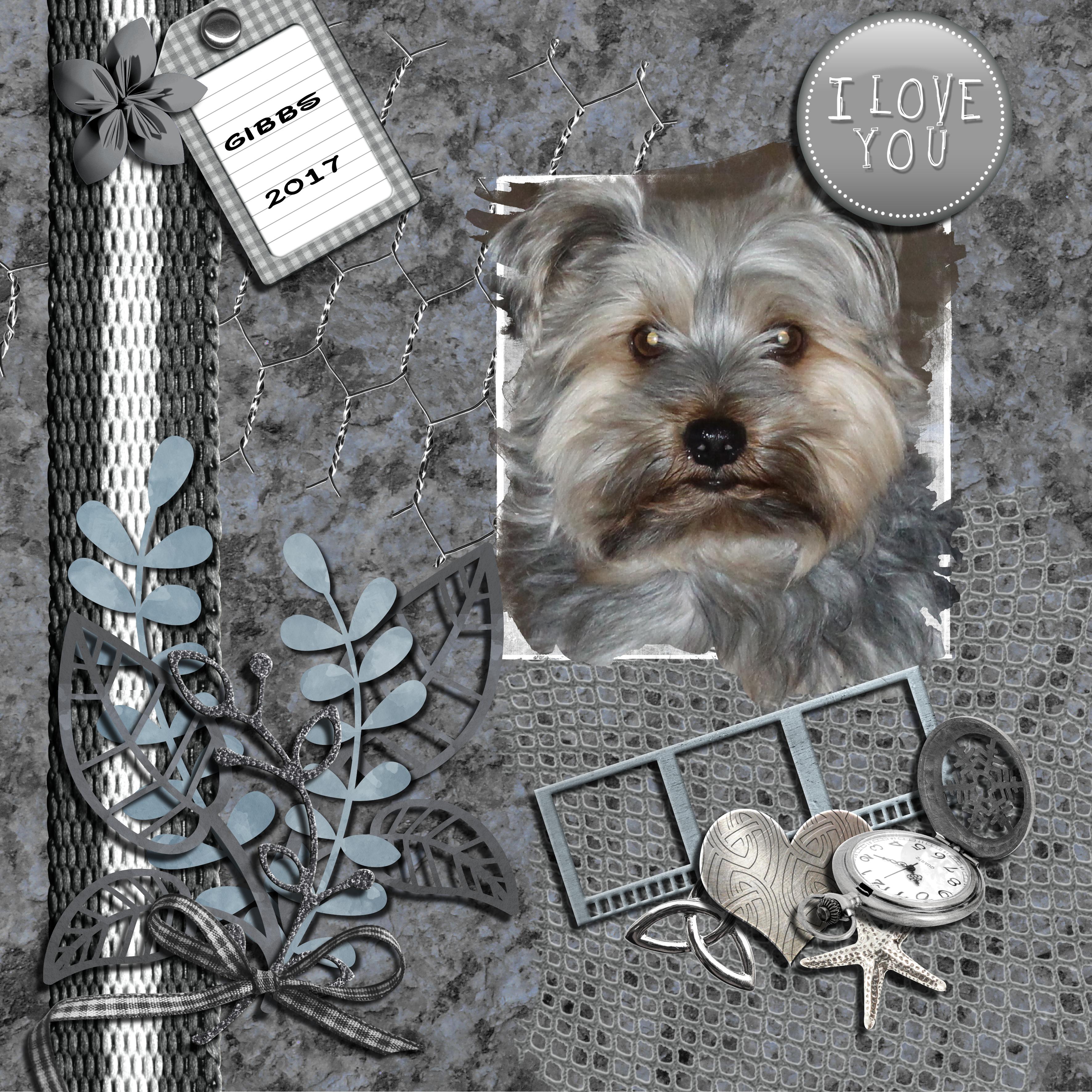 Un amour de chien.jpg