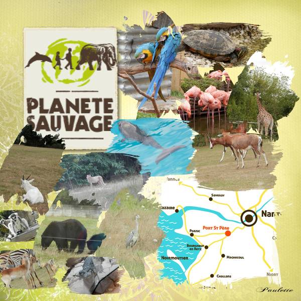 un aperçu du safri parc