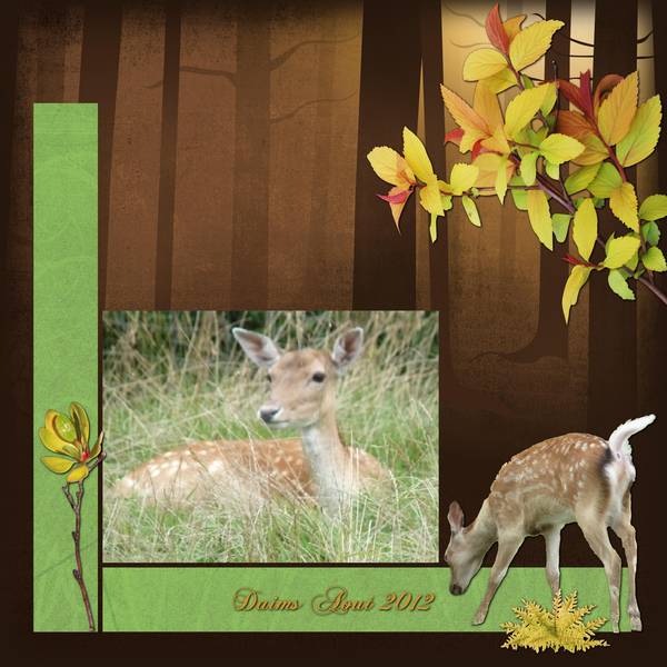 Un après- midi avec les Daims