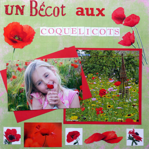un bécot aux coquelicots