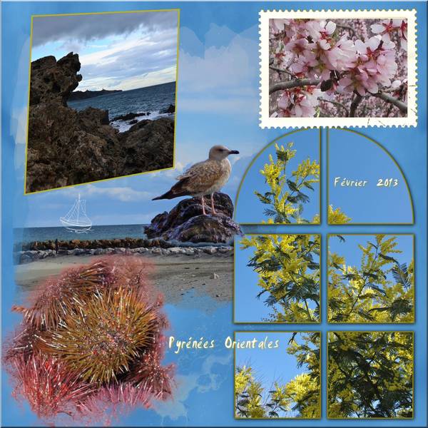 Un bonjour à tous et toutes des Pyrénées Orientales