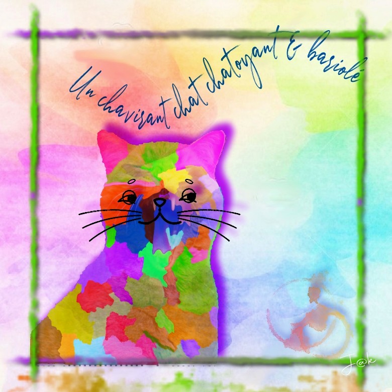 un chavirant chat chatoyant & bariolé.jpg