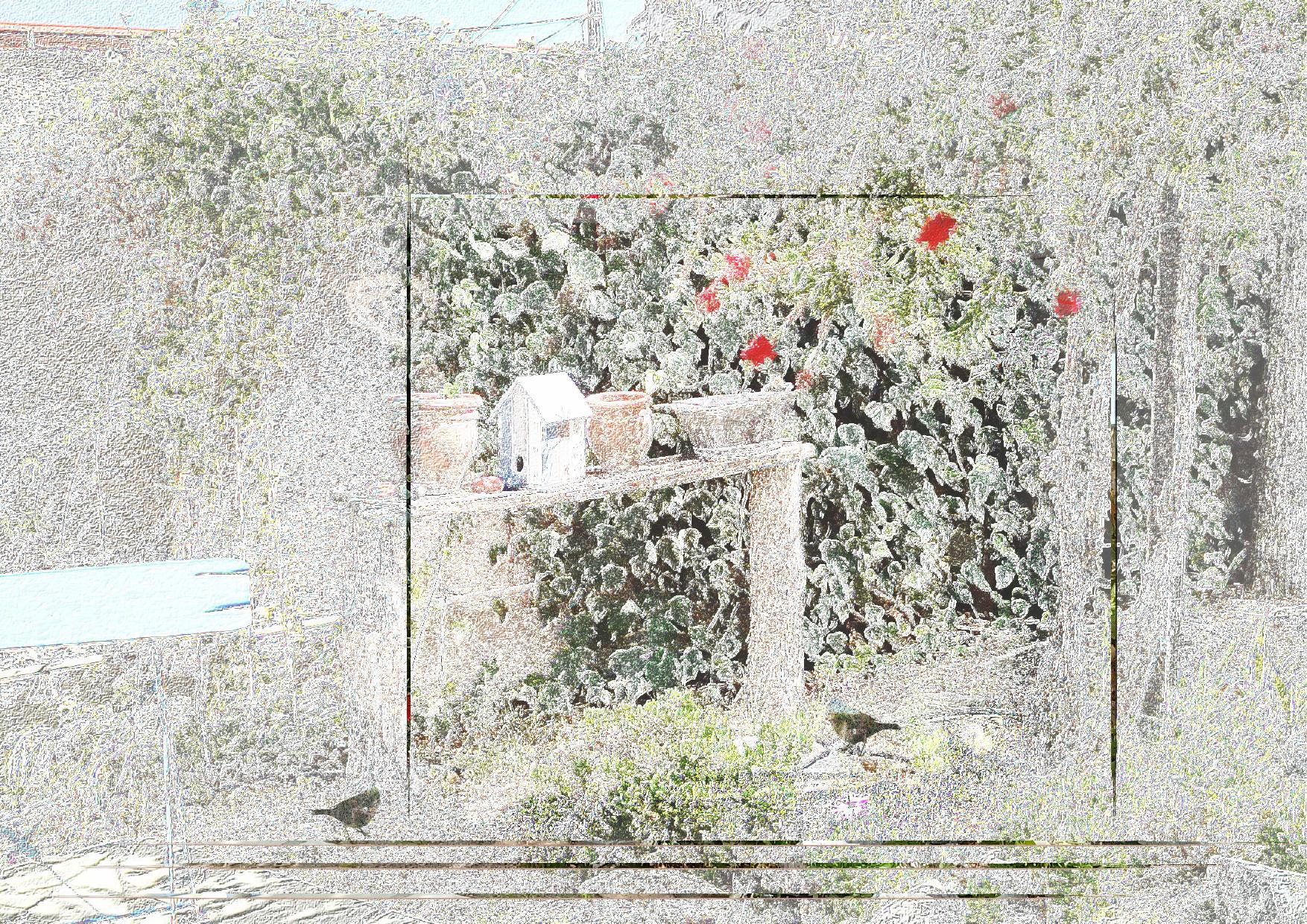 Un coin du jardin.jpg