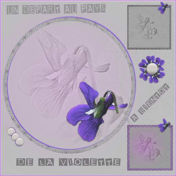 Un départ au pays de la violette