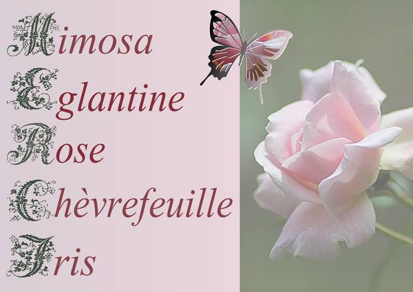 UN GRAND MERCI pour la PARTICIPATION au CHALLENGE