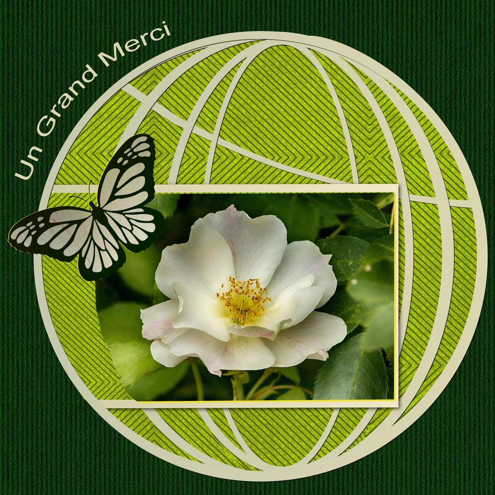 UN GRAND MERCI