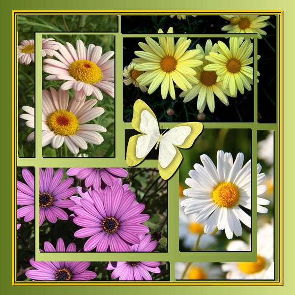 UN INSTANT DE BONHEUR