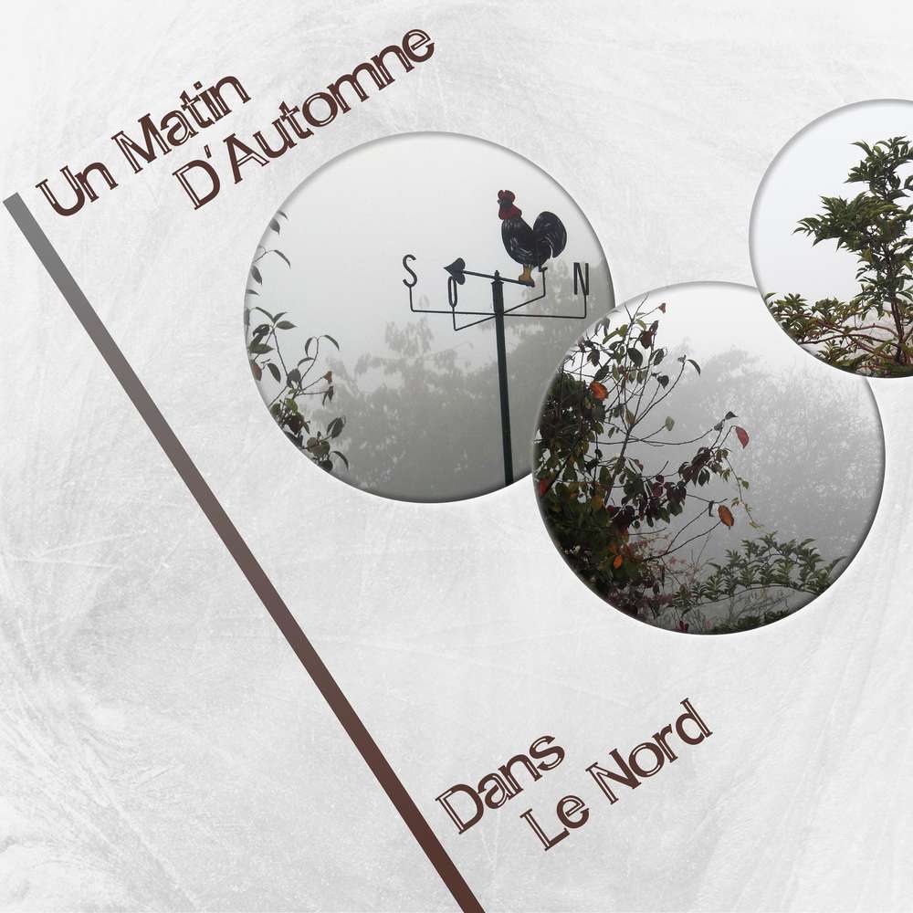 UN MATIN D'AUTOMNE DANS LE NORD