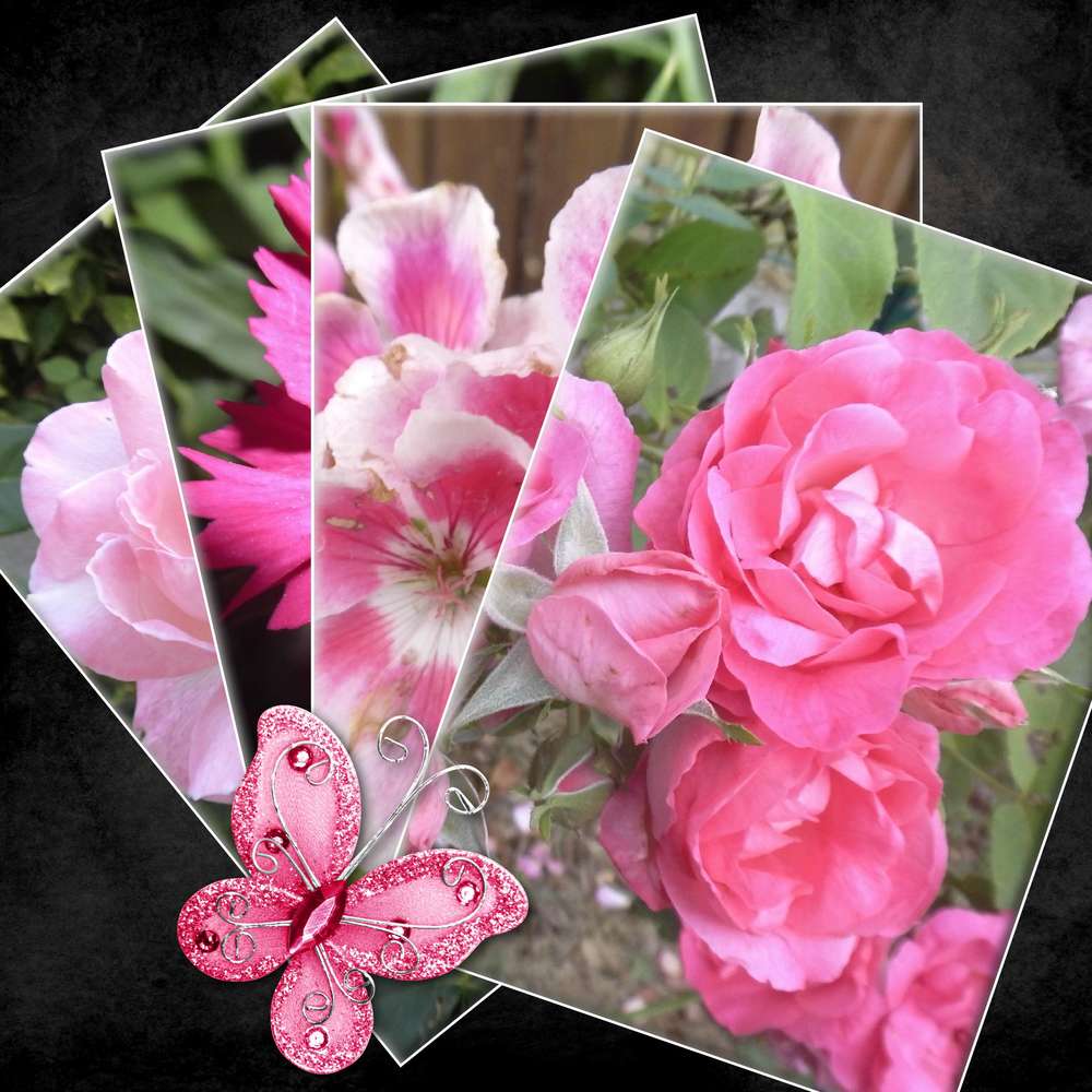 UN MERVEILLEUX EVENTAIL FLORAL