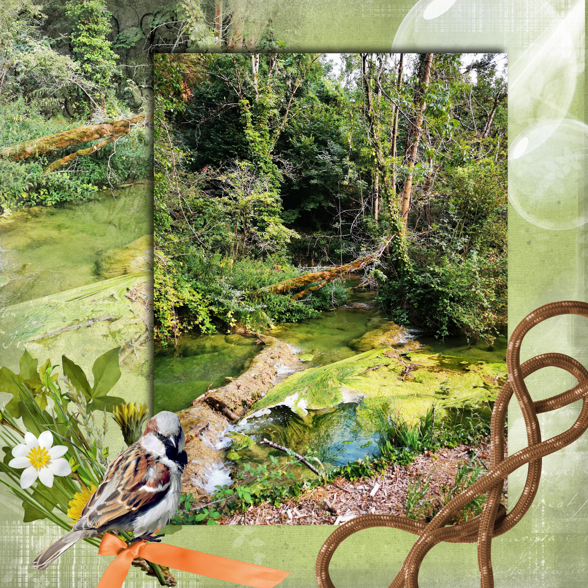 un moment de zénitude