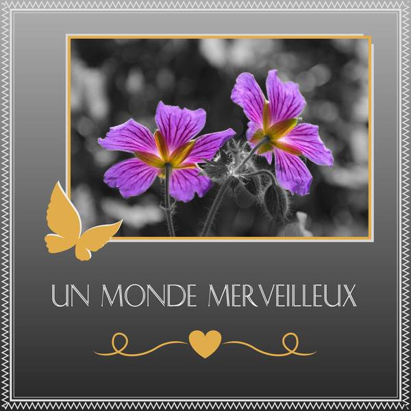 UN MONDE MERVEILLEUX