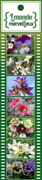 UN MONDE MERVEILLEUX