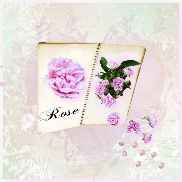 un petit 2° défi martine 29 carnet