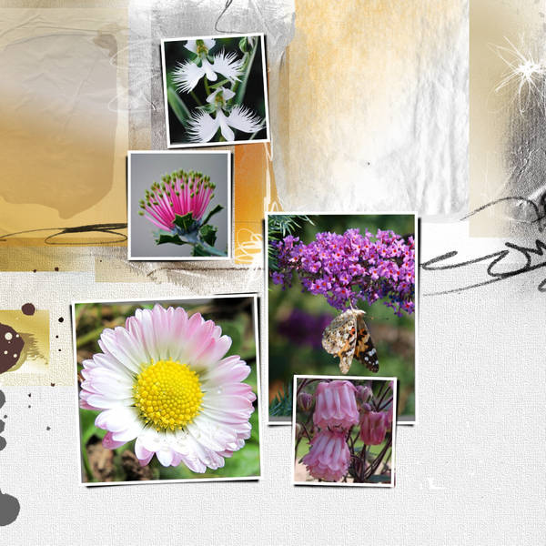 Un petit air de printemps ...