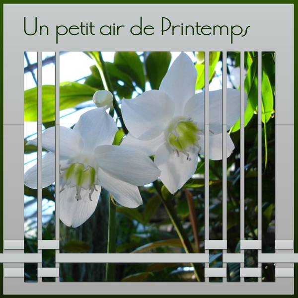 UN PETIT AIR de PRINTEMPS