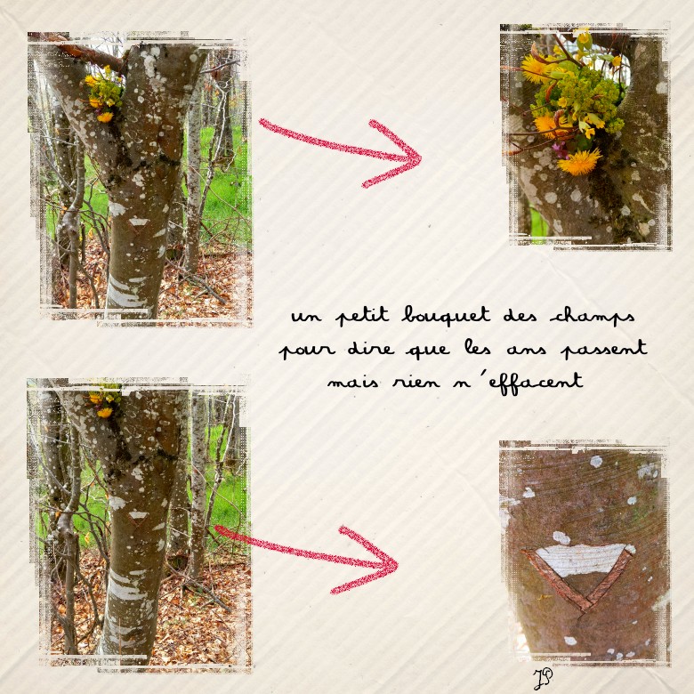 un petit bouquet des champs.jpg