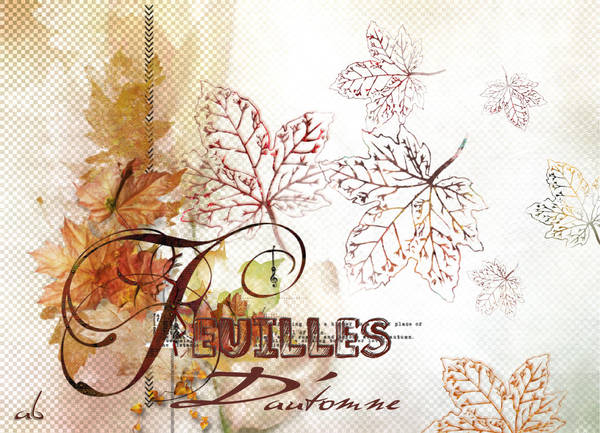 Un petit cadeau pour Mélodie