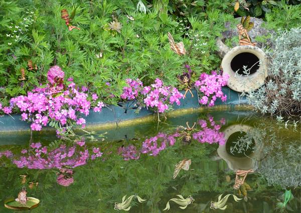 Un petit coin de bassin