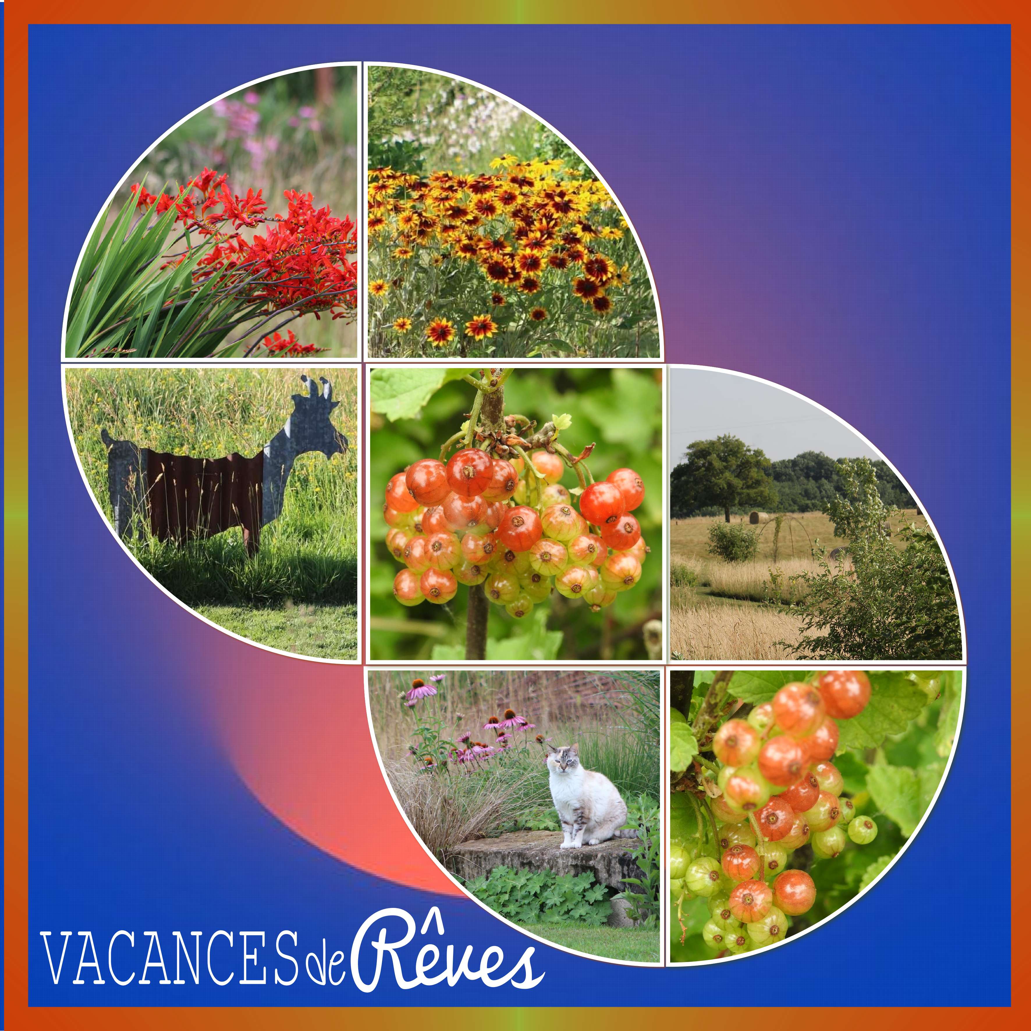 un  petit  coin de nature (page 3).jpg