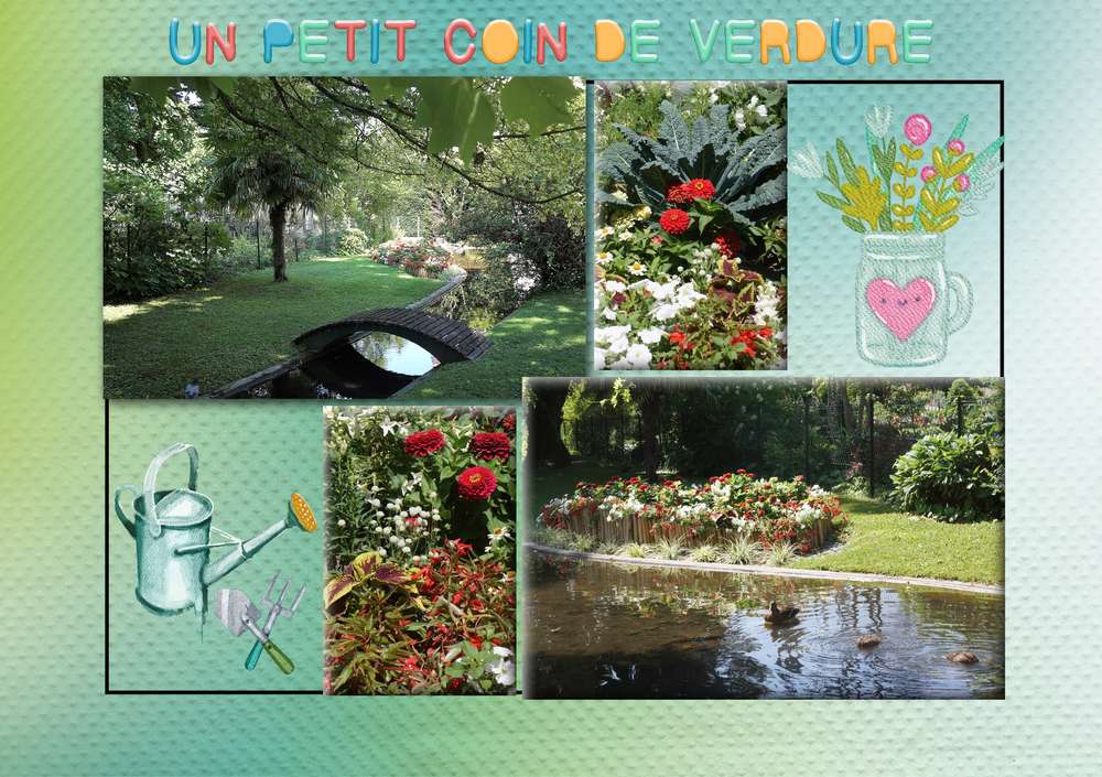 Un petit coin de verdure