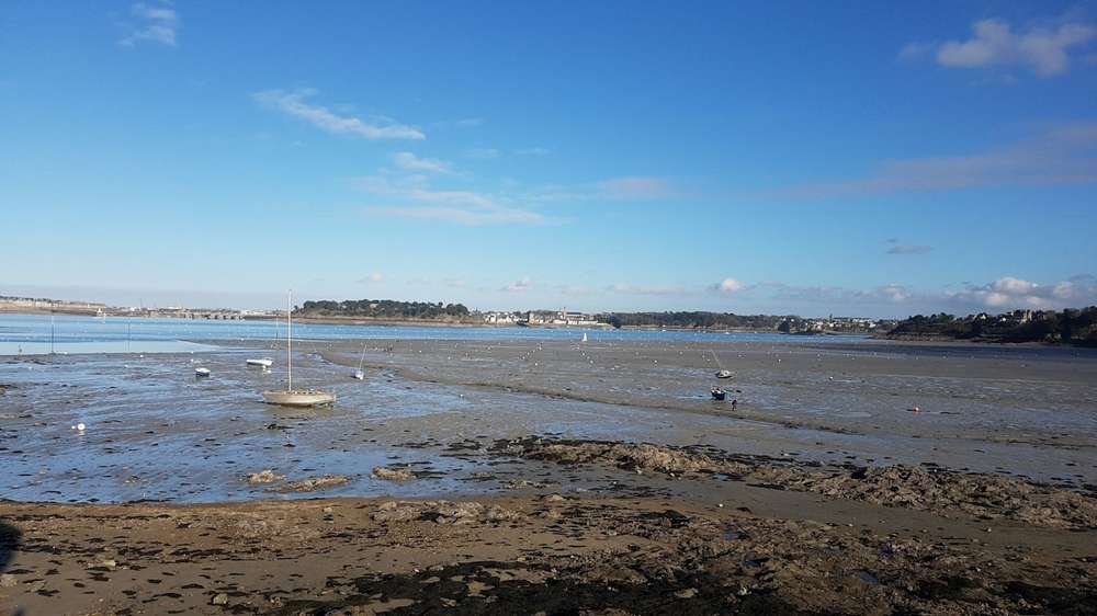 un petit coucou à tous