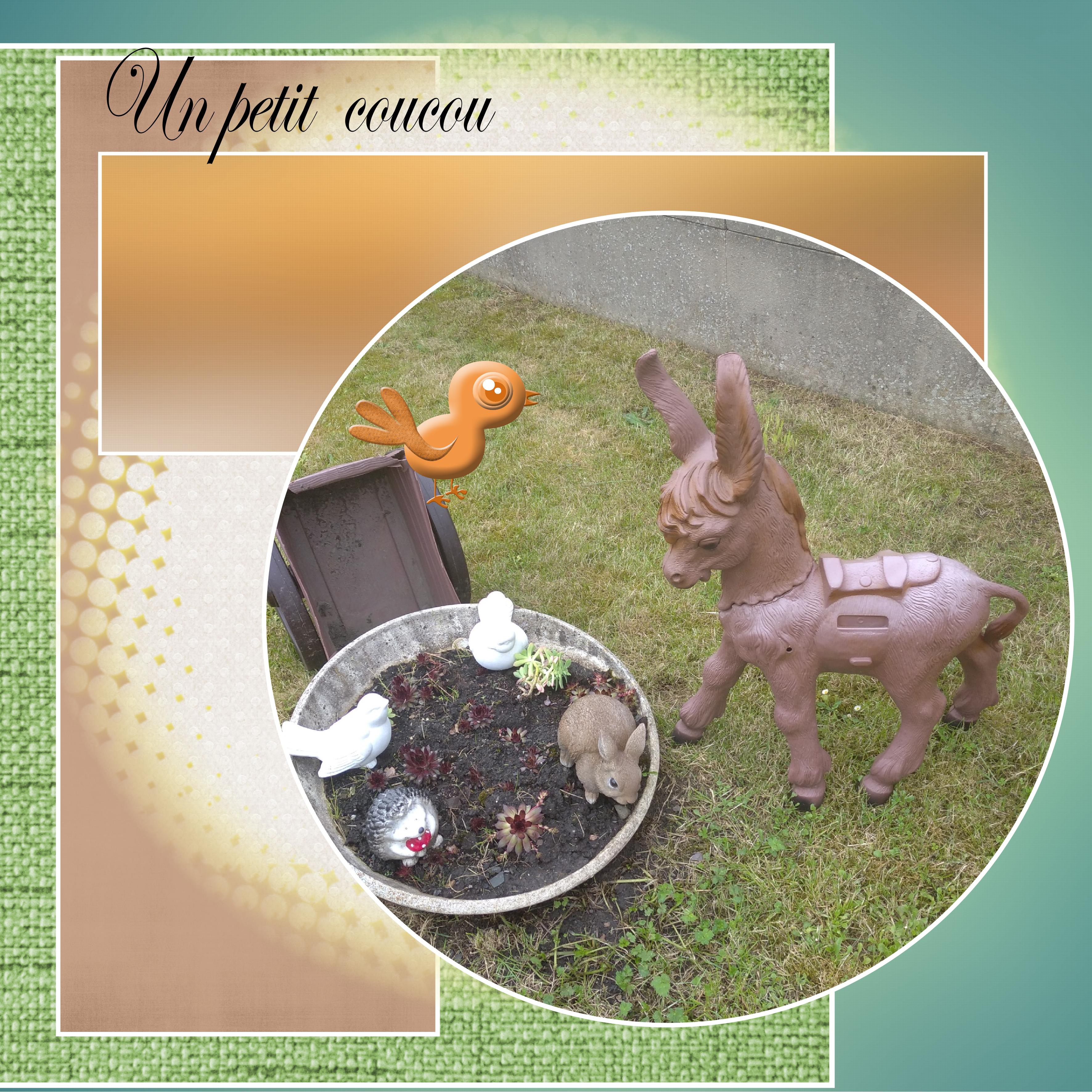 un  petit  coucou.jpg