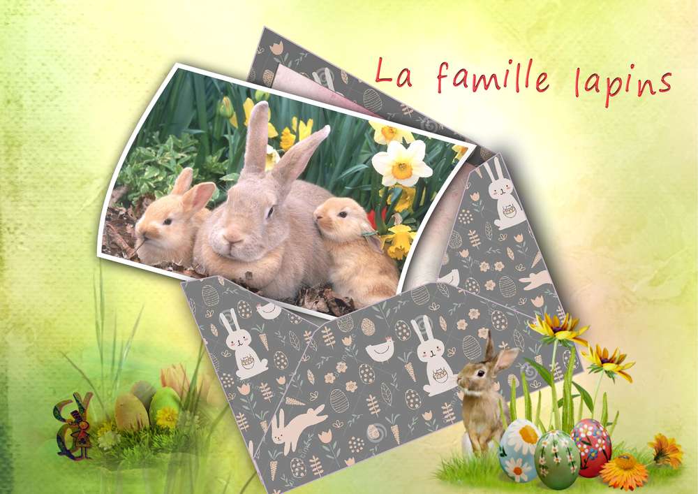 Un petit courrier de la poste avec un peu de retard !!