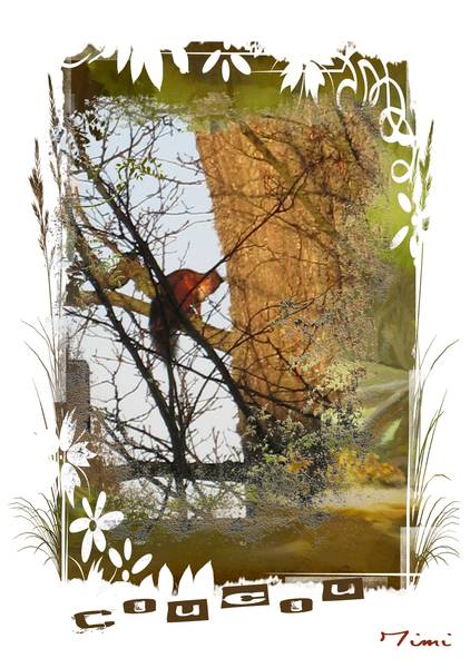 un petit écureuil jocondien